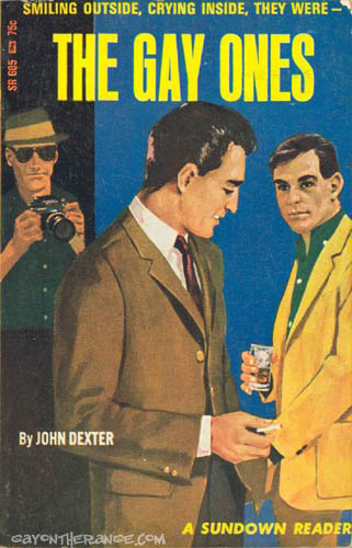 The Gay Ones - a trashy paperback from the 1960s